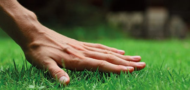 Eine Hand berührt eine gepflegte Rasenfläche – Rasenmischungen von Stroetmann Saat