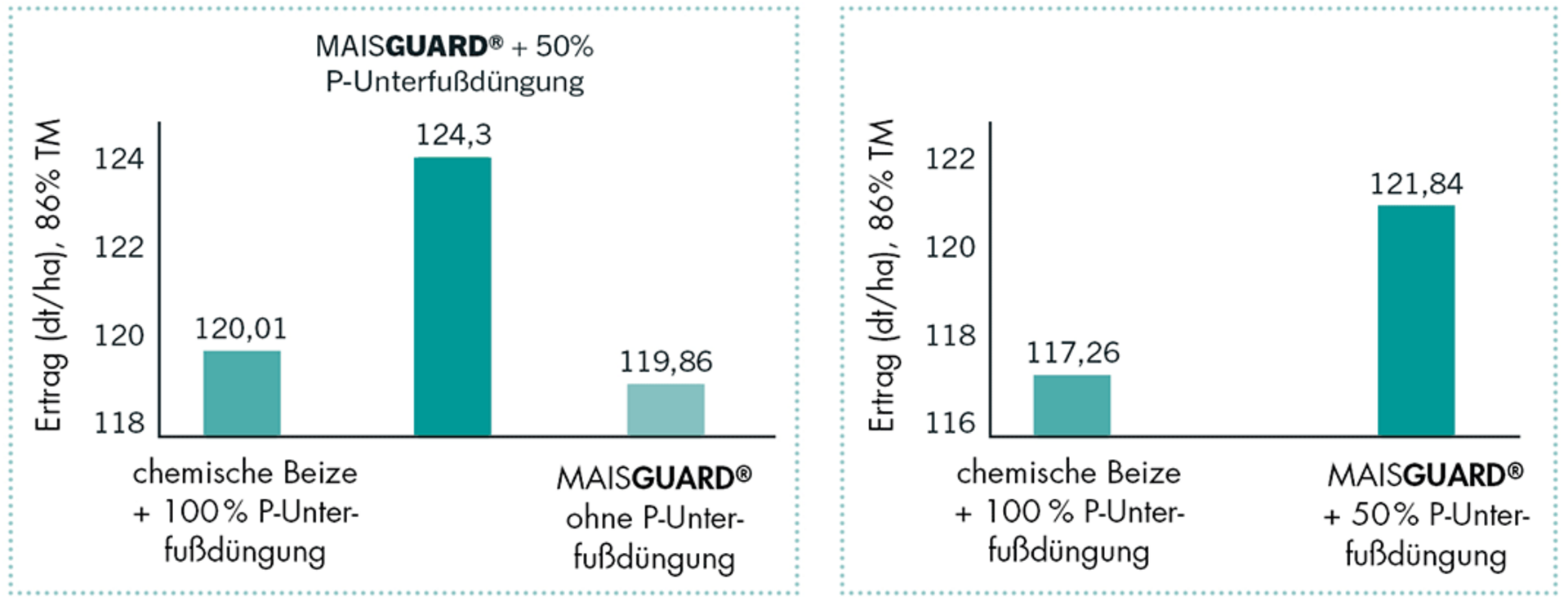 Die Ergebnisse aus Westerkappeln, 2019, zeigen eine reduzierte P-Unterfußdüngung bei Verwendung von MAISGUARD® im Vergelcih zu einer chemischen Beize bei Mais.