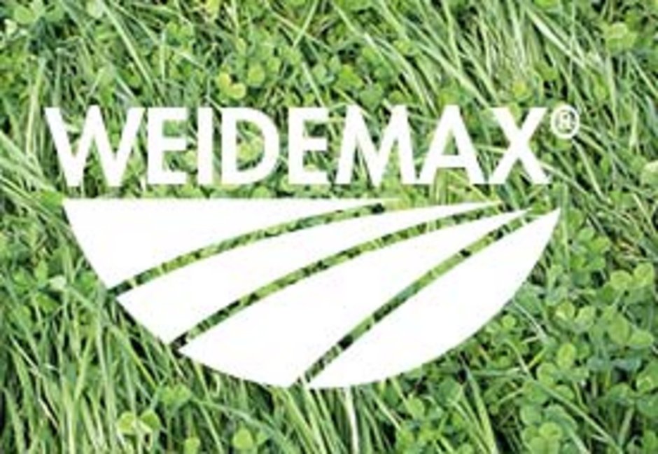 Eine Grünlandfläche, Wiese, die aus Gras und Klee zusammengesetzt ist - Weidemax.