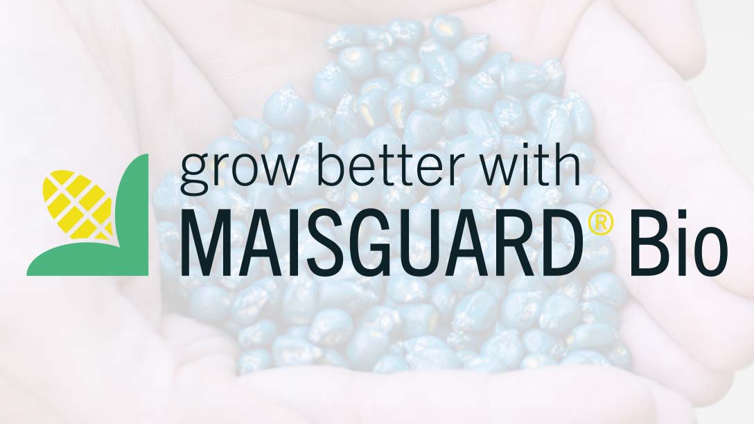Logo MAISGUARD BIO, grow better with.
